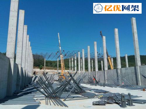 金昌料棚网架设计